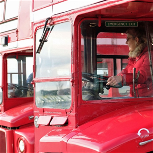 bus and driver bus and driver